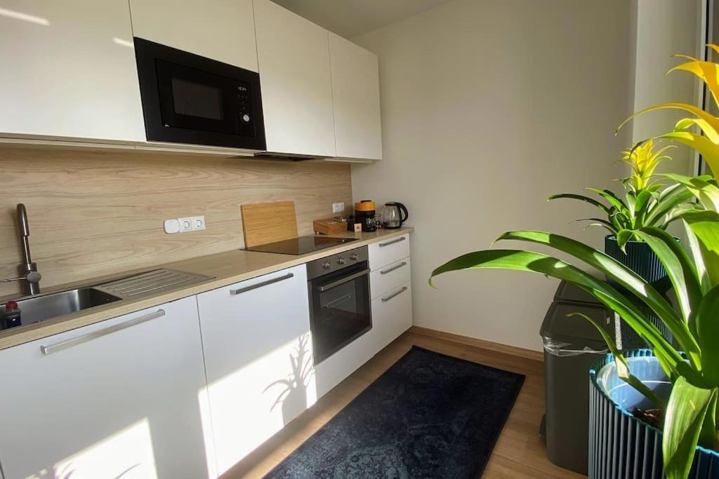 Strahlende Erdgeschoss-Wohnung Im Neubau Naehe Legoland Ichenhausen Dış mekan fotoğraf